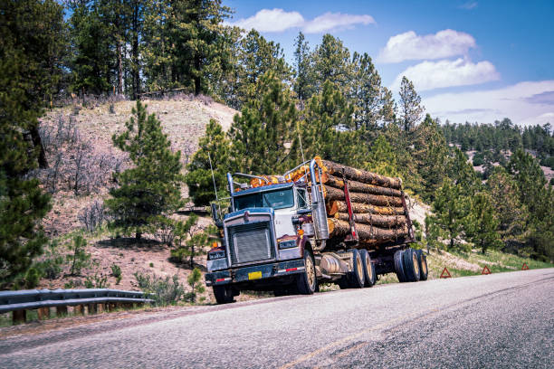 Loaded log truck parked beside highway on steep incline surrounded by pine forests. stock photo