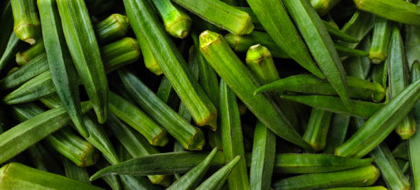istock Abelmoschus esculentus commonly known as lady's finger or okra 1327662123