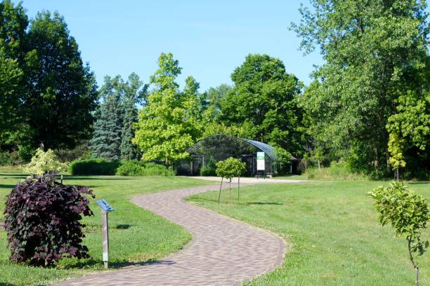 istock Pathway in the Countryside Park 1327662441