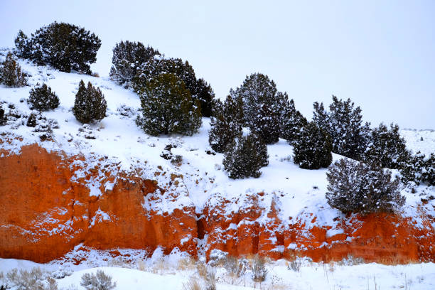 Ridgeline cliff of red sandstone and cedar trees in fresh winter snow