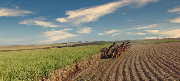 istock Sugar cane hasvest plantation with three machines view aerial 1327667669