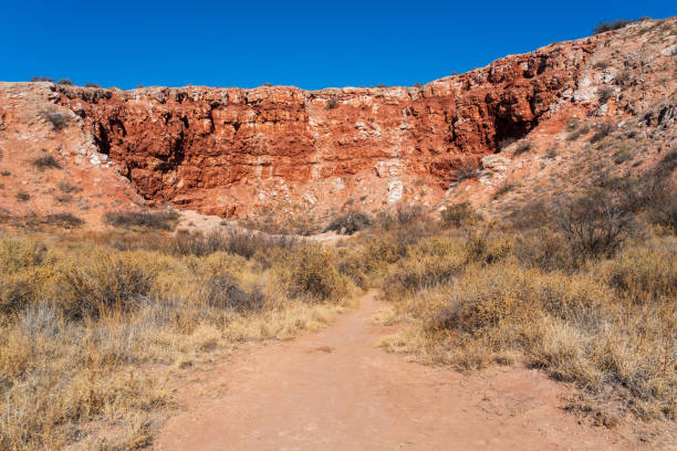 istock Bottomless Lakes State Park in New Mexico 1327669757