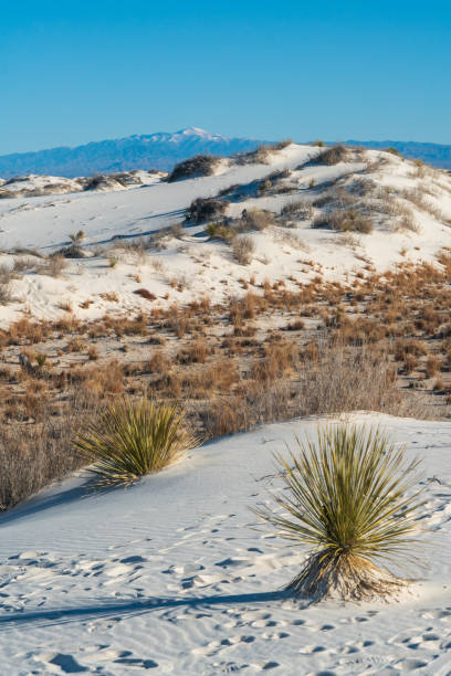 istock White Sands National Park in New Mexico 1327670052