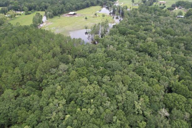 istock Field and Forest Aerial View 1327675526
