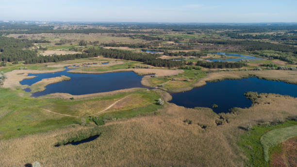 istock Top aerial view of lakes between green fields and forest 1327676356