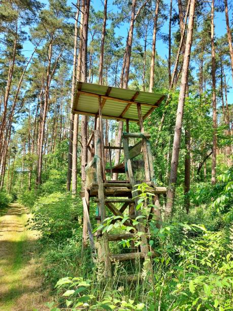 istock High seat in the forest 1327676652