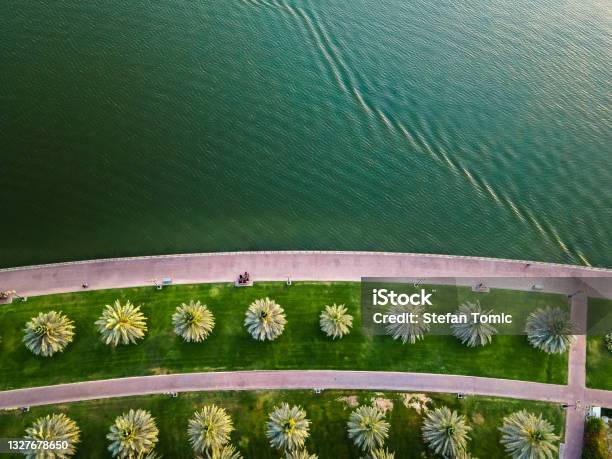 Sharjah Oasis With Large Area With Palm Trees And Grass Field By The Al Noor Island Aerial In The Uae Top View Stock Photo - Download Image Now