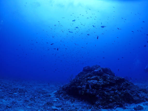 istock night sea,Okinawa Kerama 1327678855
