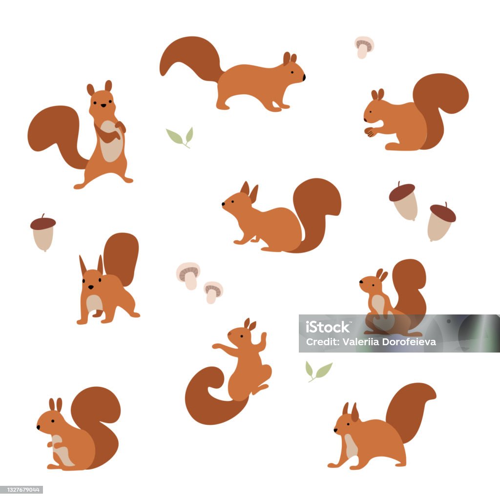 Ilustração vetorial. Um conjunto de esquilos alegres que comem nozes e andam. - Vetor de Esquilo royalty-free