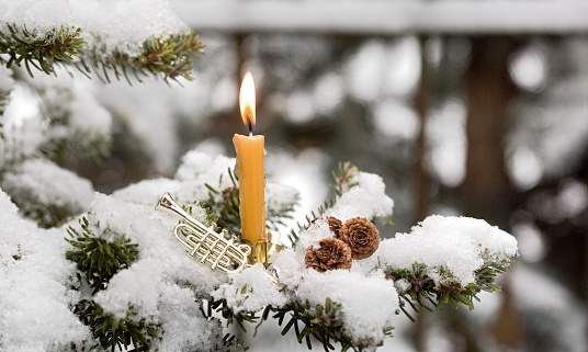 luminous candle on snowy fir tree branch