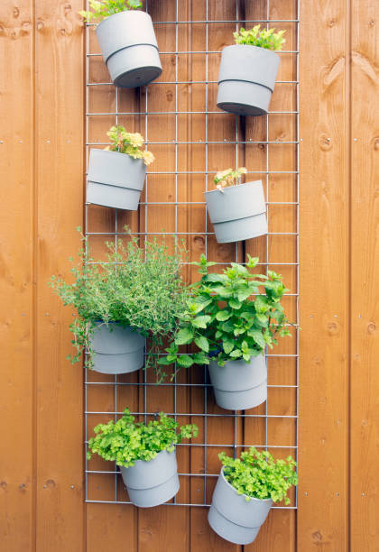 herbe fraîche suspendue dans des pots modernes dans le jardin sur fond de bois mur décoration moderne à l’extérieur de la maison élégante - vertical garden photos et images de collection