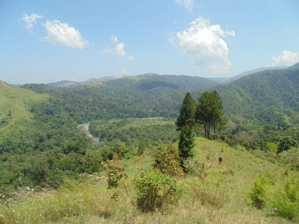 istock lanscape nature park stock photos 1327680133