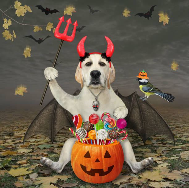 istock Dog labrador with bat wings and trident 2 1327681512
