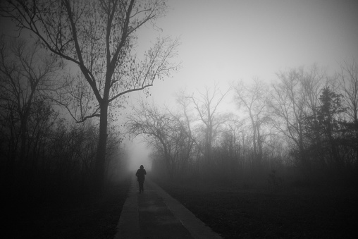 One person walking in the park on a spooky misty night.
