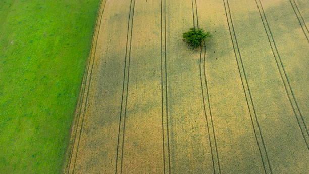istock Abstract agricultural field - aerial view 1327685381