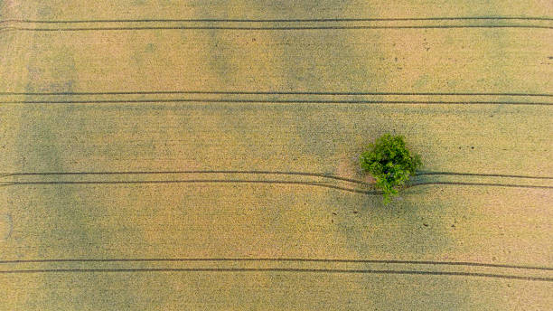 istock Abstract agricultural field - aerial view 1327685401