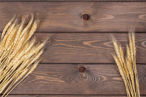 pane d'oro grano su un vecchio tavolo di legno. sfondo alimentare - field brown text harvesting foto e immagini stock
