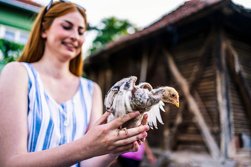 Young cheerful woman holding a chicken