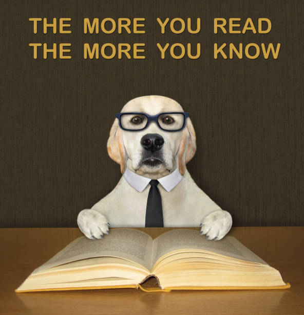 istock Dog labrador intelligent reads book at desk 1327699249