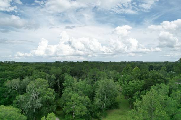 istock Beautiful countryside view 1327702516