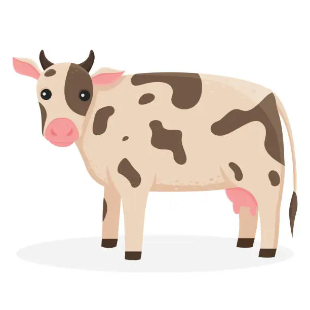 Vector illustration of Isolated illustration of a cow. Farm animal on a white background in cartoon style