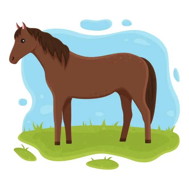 Vector illustration of The horse is standing on the grass. Illustration for kids. Farm pet vector illustration in cartoon simple flat style.