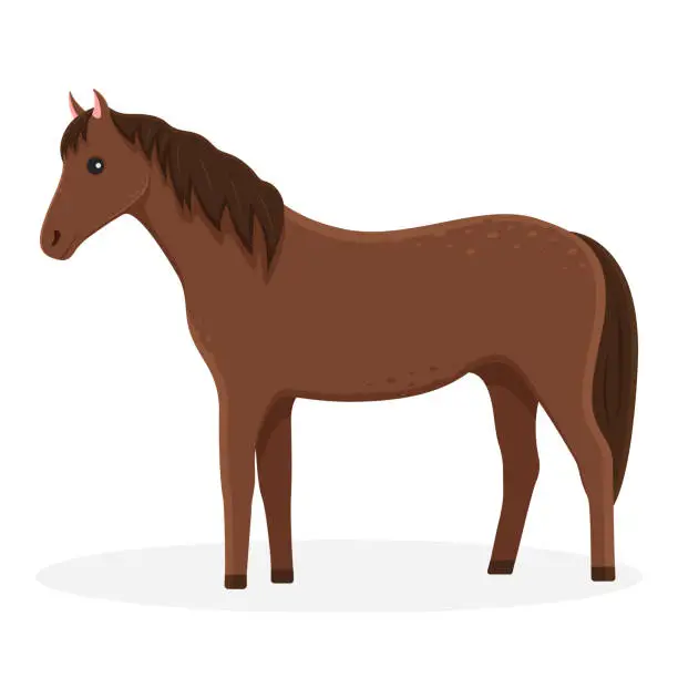 Vector illustration of Isolated horse illustration. Farm animal on a white background in cartoon style
