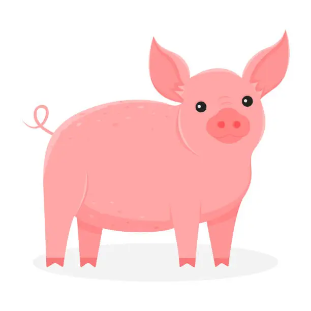 Vector illustration of Pig illustration isolated. Farm animal on a white background in cartoon style