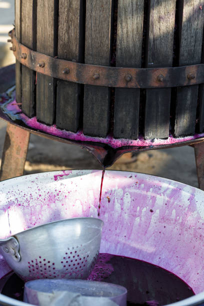 istock Winepress with red must and helical screw. Winemaker's hands close up. 1327709222
