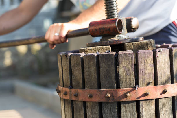 istock Winepress with red must and helical screw. Winemaker's hands close up. 1327709238