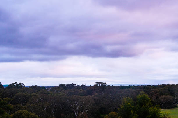 istock Inverleigh, Victoria, Australia 1327713778