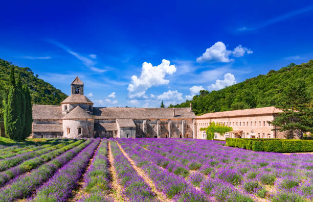 abadía de senanque, lavanda provenzal en francia - senanque fotografías e imágenes de stock