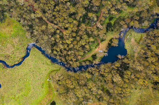 Aerial view of a green field and Eucalyptus forest with a four wheel drive camping at the Manning River at Barrington Tops National Park, NSW, Australia