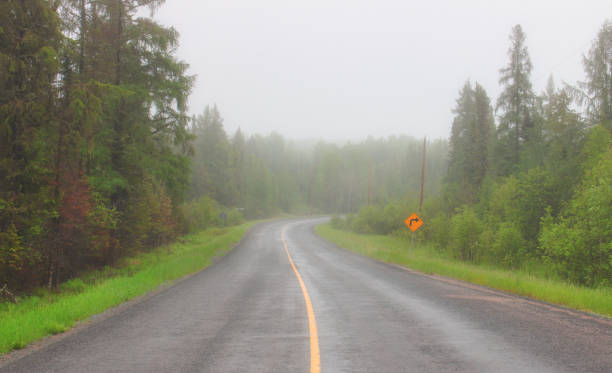 strada nella nebbia estiva - thunder bay canada ontario provincial park foto e immagini stock