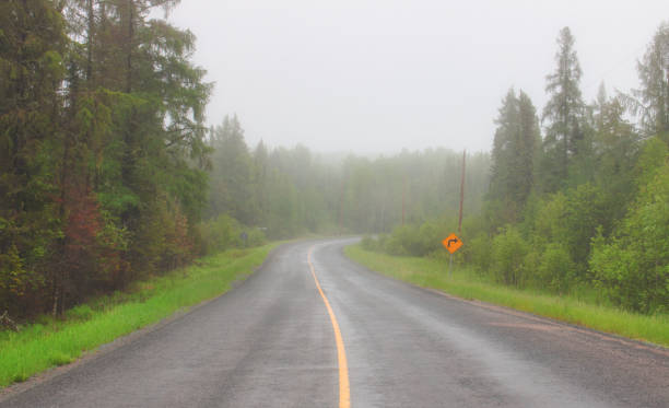 road in summer fog - thunder bay canada ontario provincial park imagens e fotografias de stock