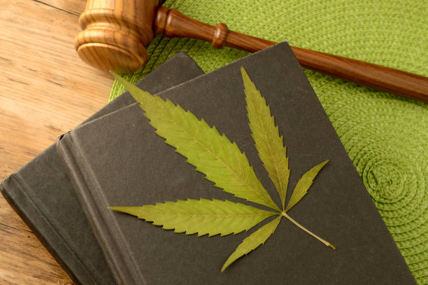 Legal Marijuana Information A conceptual image focused on the legal information of Marijuana using books and a gavel and weed leaf to illustrate this idea. cannabis narcotic stock pictures, royalty-free photos & images