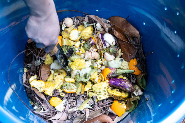istock Hand mixing the green and brown materials in the compost bin 1327738862
