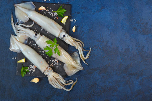 istock raw uncooked squid background with copy space for recipe 1327745772