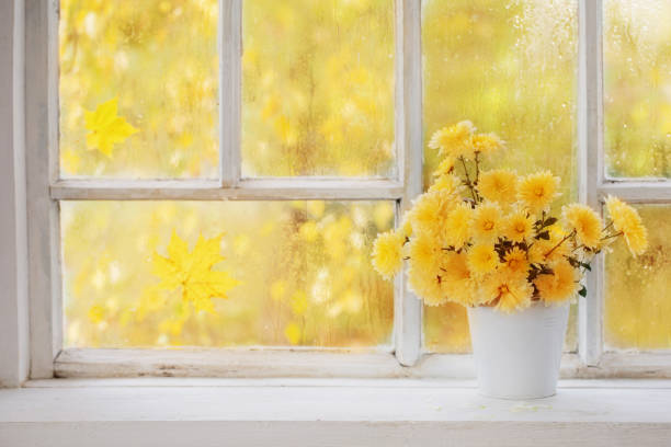 istock chrysanthemums in  vase on  windowsill in autumn 1327748546