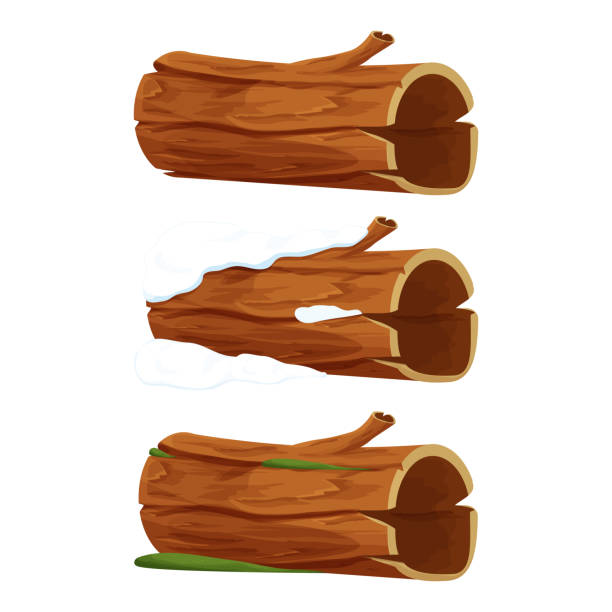 illustrations, cliparts, dessins animés et icônes de set vieux bois, bûche d’arbre, tronc avec de la mousse et de l’herbe, avec de la neige et vide dans le style de dessin animé isolé sur fond blanc. clipart de forêt, pièce ancienne et cassée, partie. . . illustration vectorielle - hollow