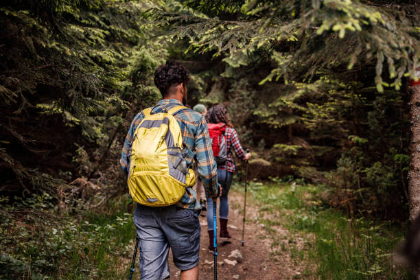 istock Back view of hikers walking through the woods. 1327757552