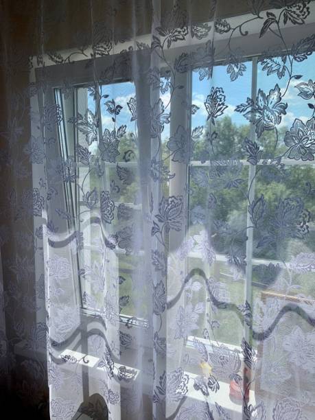 istock Window with curtains summer view from home 1327759719