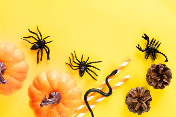 istock Halloween yellow background with spiders, pumpkins. Flat layout, top view. Copy space. 1327760376