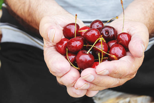istock grandparents feed the child with cherries.selective focus. 1327763115