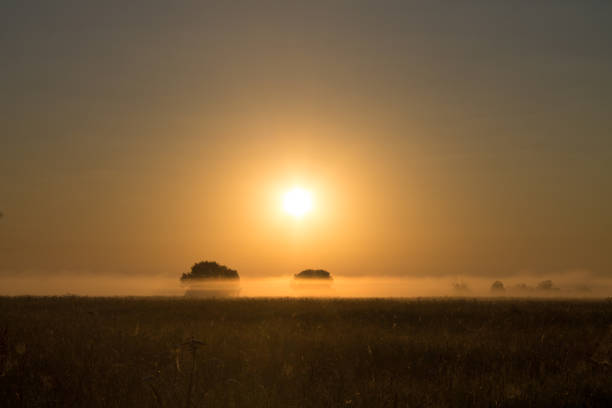 Natural background and space for copying-A beautiful golden sunrise over an endless meadow on a foggy summer morning defocused
