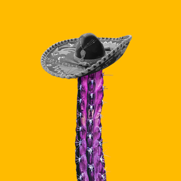 One long purple cactus wearing mexican bw hat isolated on vivid yellow background. Concept of modern art and creativity.