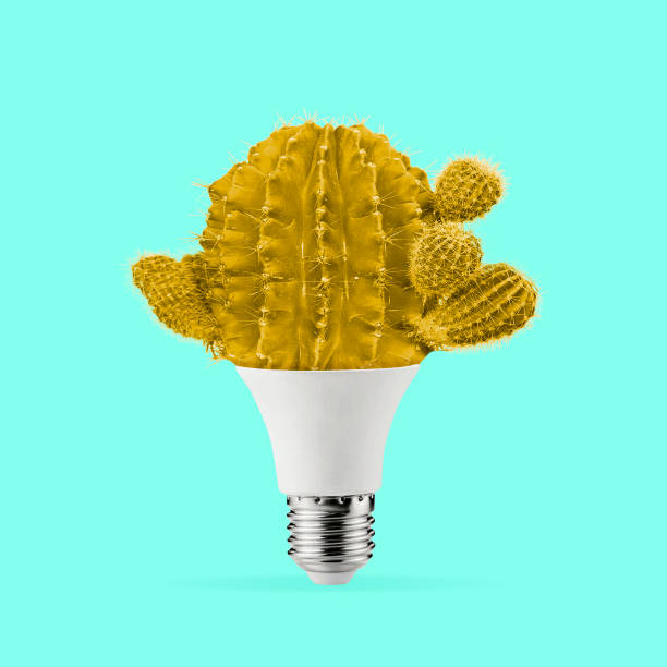 istock Thorns in the lamp. Minimal cactus design. Floral and and technical composition. 1327764623