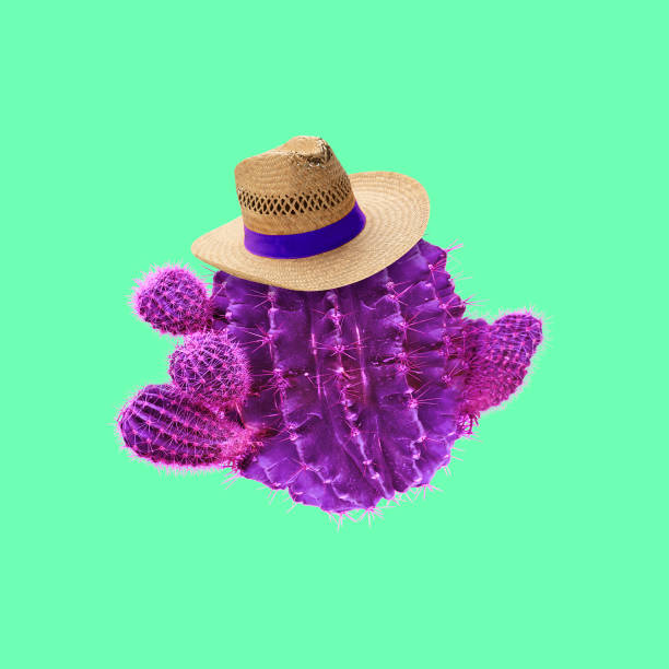 istock Creative composition, artwork. Round purple cactus wearing straw hat. Copyspace for advertisement 1327764628