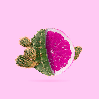 Minimal cactus design. Juicy citrus, cut pink grapefruit instead of cactus pulp isolated over light pink background. Creative composition. Copyspace for advertisement