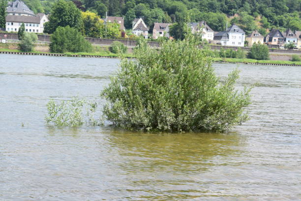 Rhineland